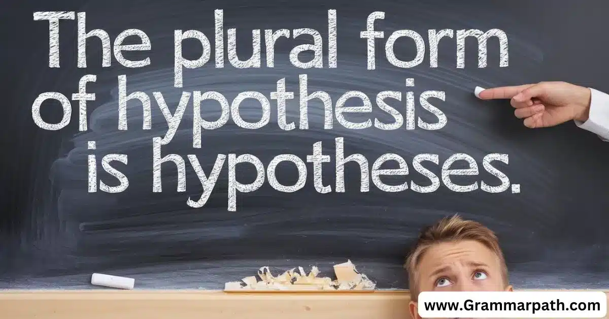 A Comprehensive Analysis of The Plural Forms of Hypothesis