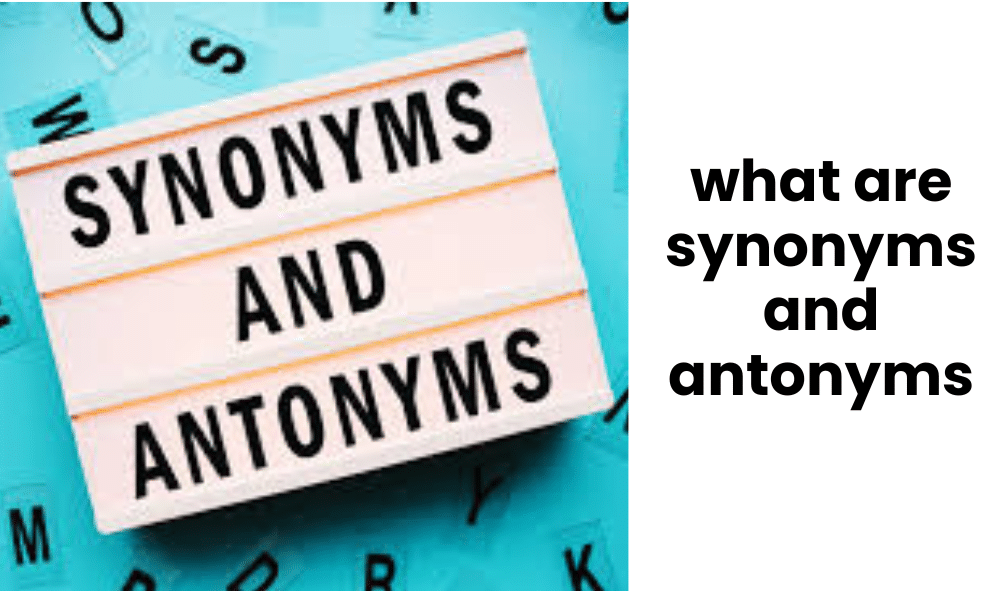 what are synonyms and antonyms