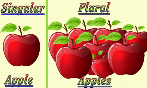 20 rules of singular and plural