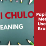 Papi Chulo: Meaning, Uses, And Examples