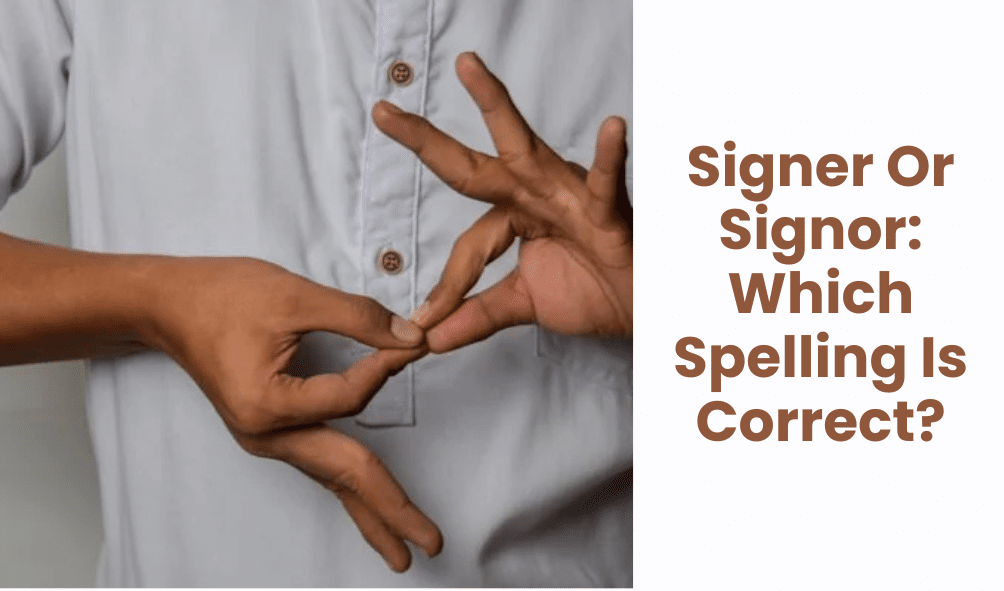 Signer Or Signor: Which Spelling Is Correct?