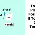 Tooth Plural Form: Is It Tooths Or Teeth?