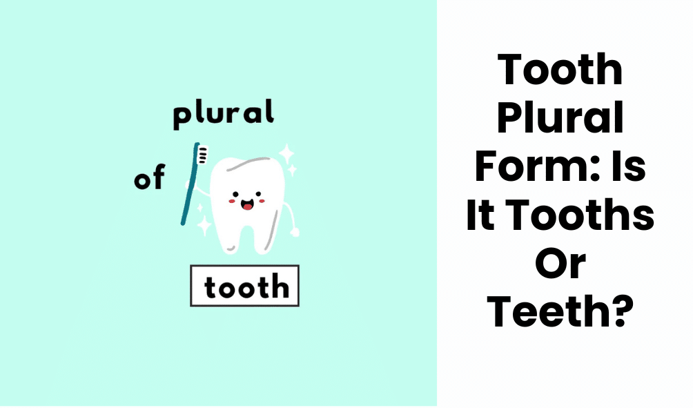 Tooth Plural Form: Is It Tooths Or Teeth?