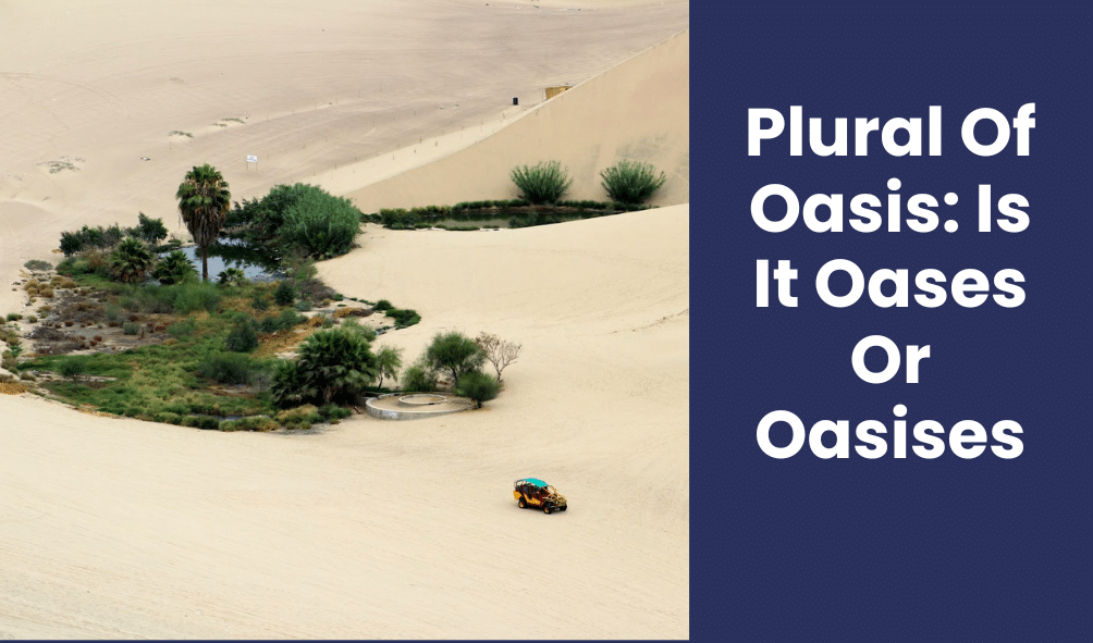 Plural Of Oasis: Is It Oases Or Oasises