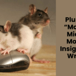 Plural Of “Mouse”: Mice Or Mouses Insights For Writers